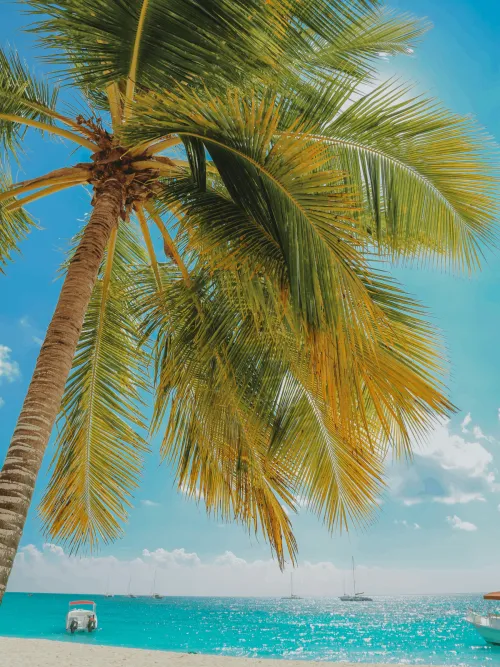 eSIM für Dominikanische Republik